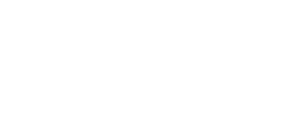 The Vanguard Managament